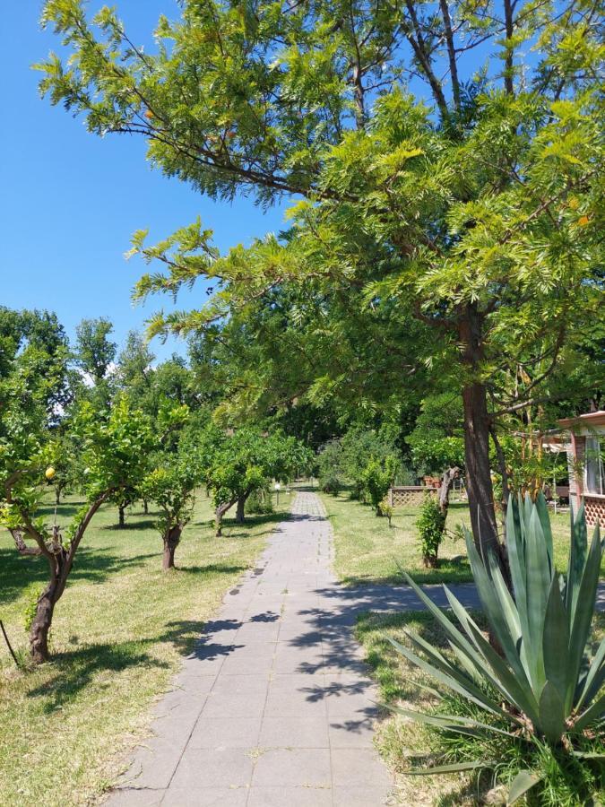 Villa Piersepp B&B Trappitello Exterior foto
